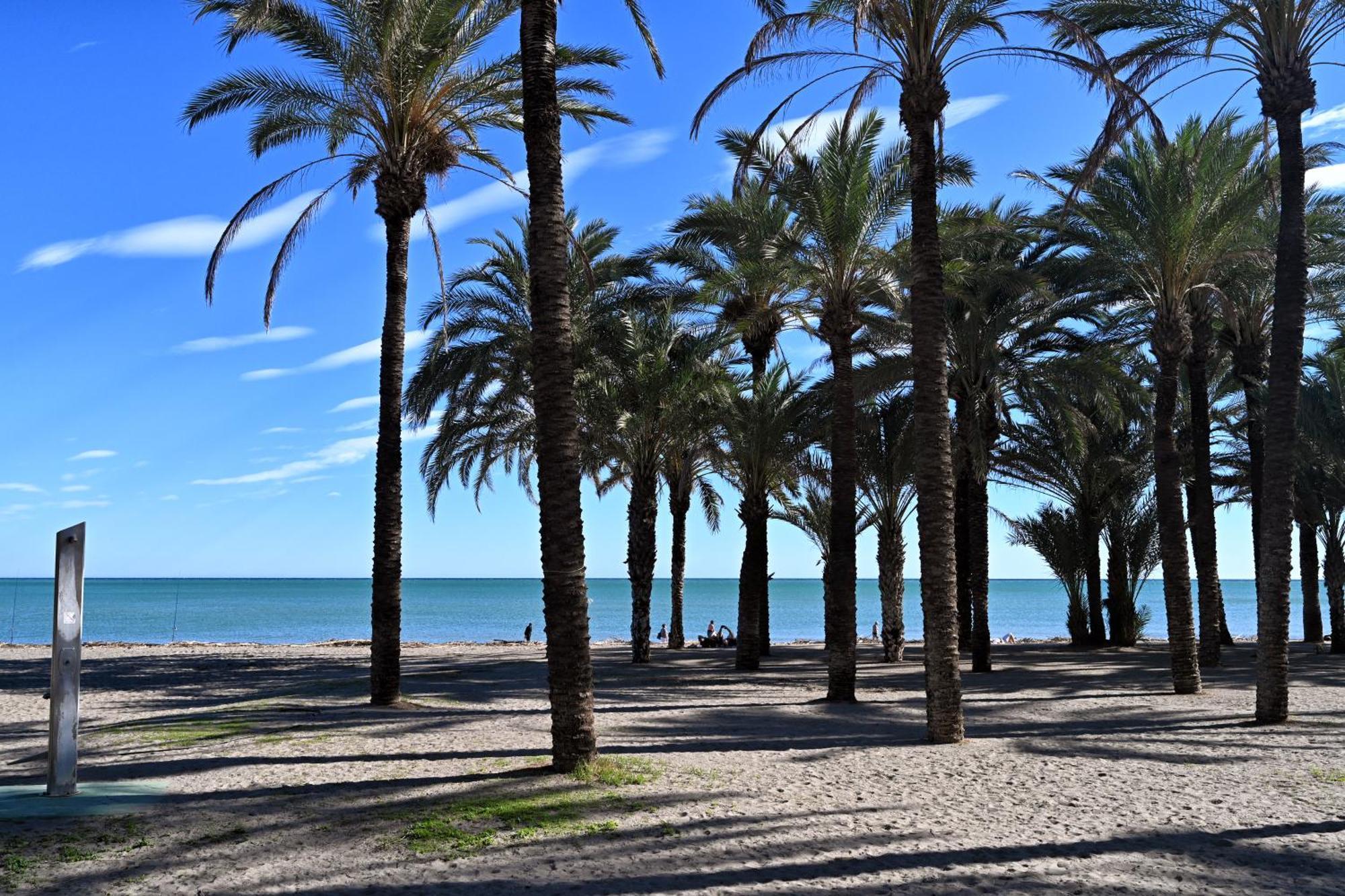 Love Rent4 Malaga Alamar Torremolinos Eksteriør billede